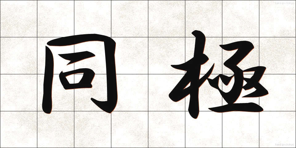 同極 (どうきょく)