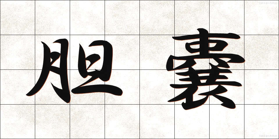 胆嚢 (たんのう)