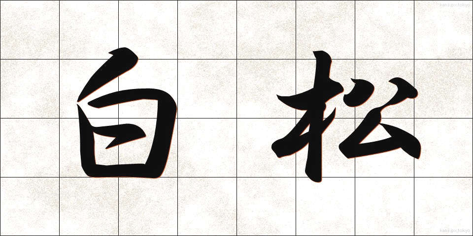 白松 (しらまつ)