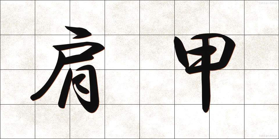 肩甲 (けんこう)