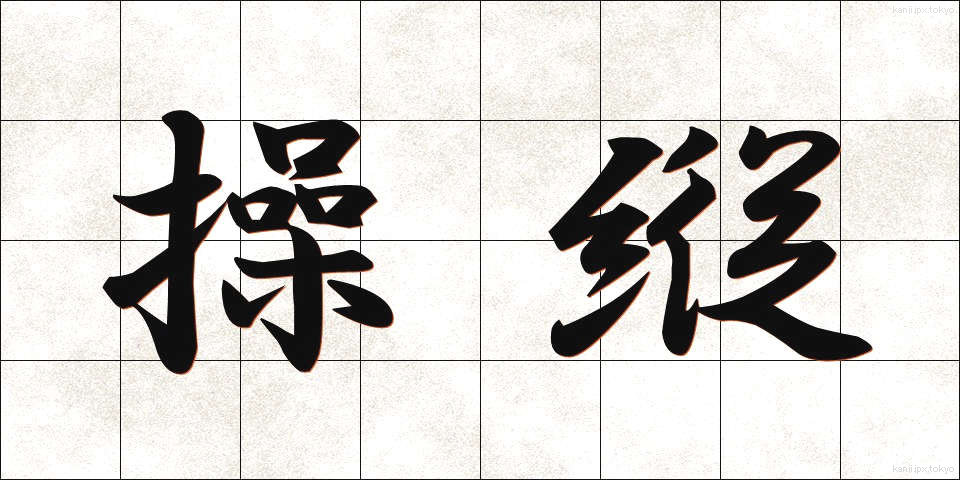 操縦 (そうじゅう)