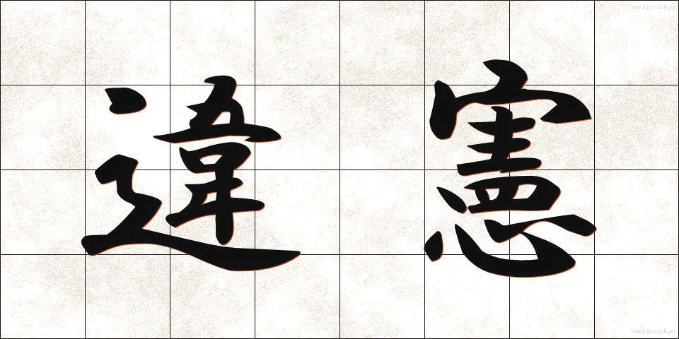 違憲 (いけん)
