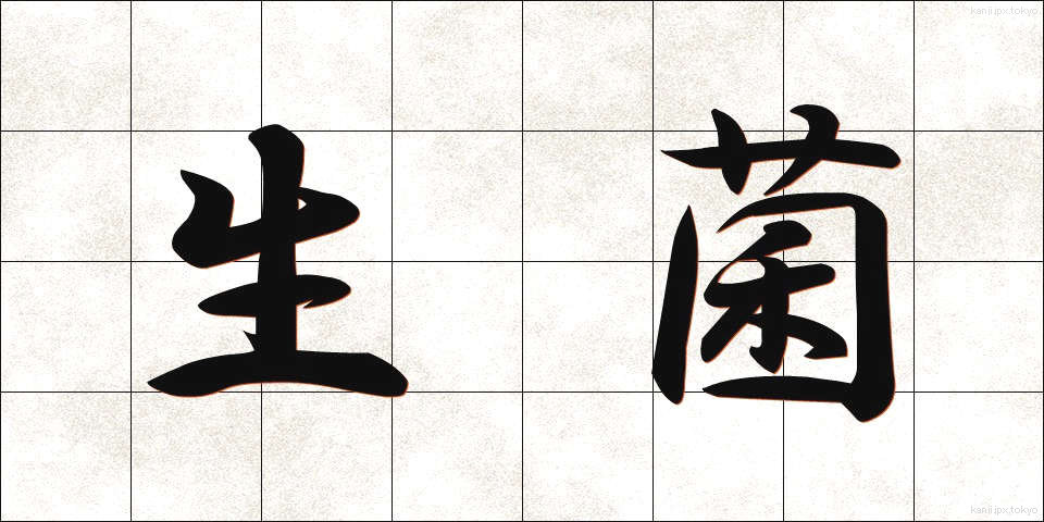 生菌 (せいきん)