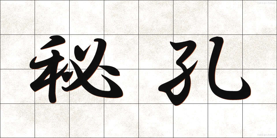 秘孔 (ひこう)