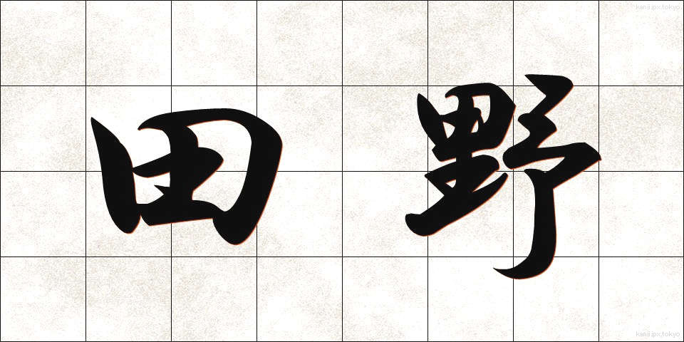田野 (でんや)