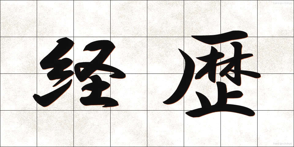 経歴 (けいれき)