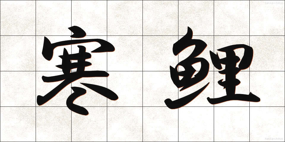 寒鯉 (かんごい)