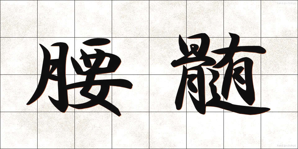 腰髄 (ようずい)