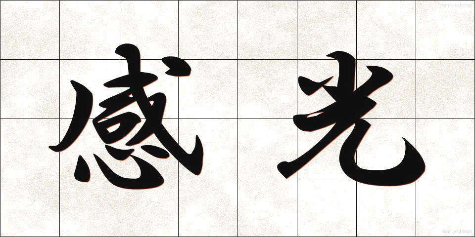 感光 (かんこう)