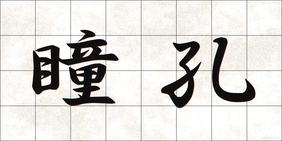 瞳孔 (どうこう)
