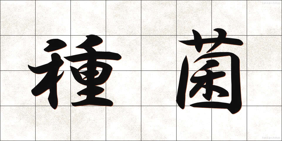 種菌 (しゅきん)