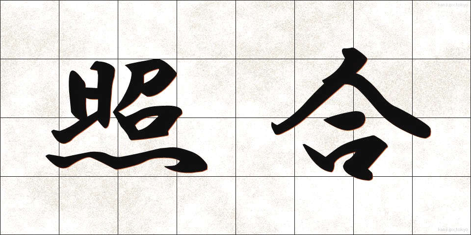 照合 (しょうごう)