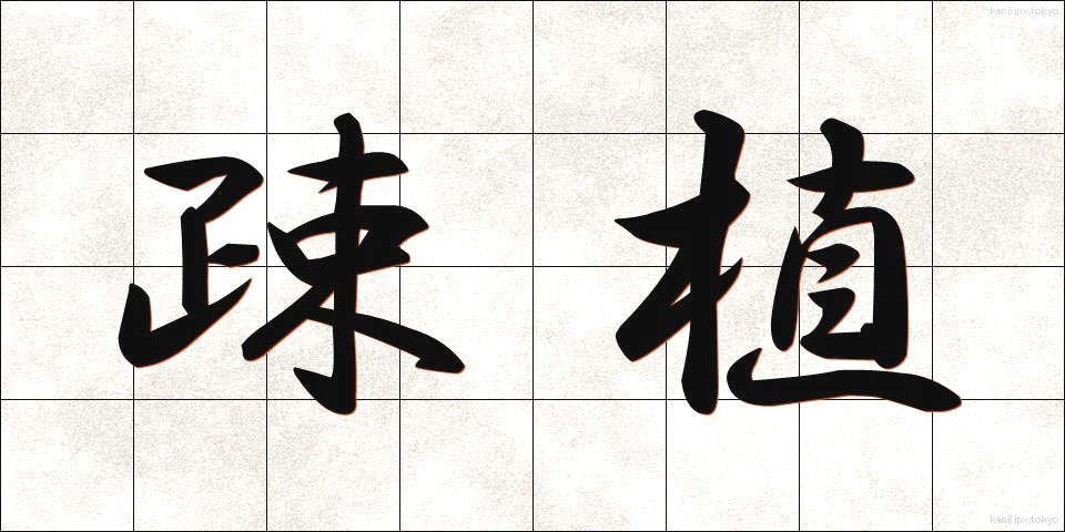 疎植 (そしょく)