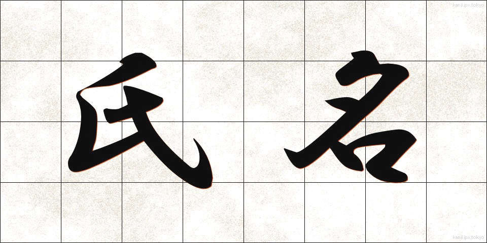 氏名 (しめい)