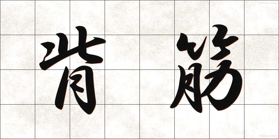 背筋 (せすじ)