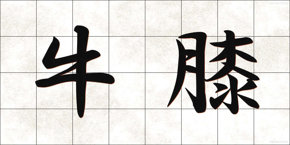 牛膝 (ごしつ)