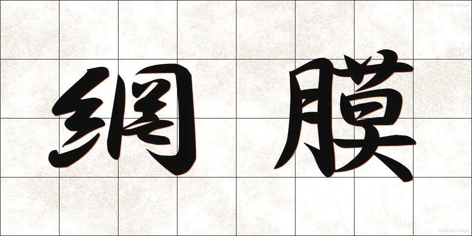 網膜 (もうまく)