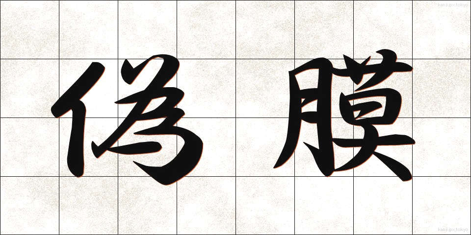 偽膜 (ぎまく)