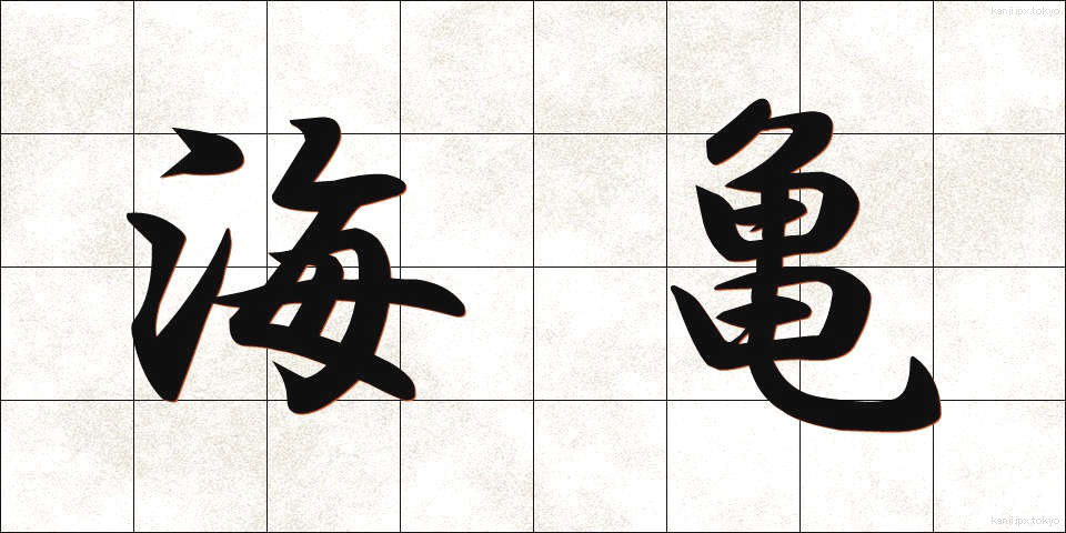 海亀 (うみがめ)