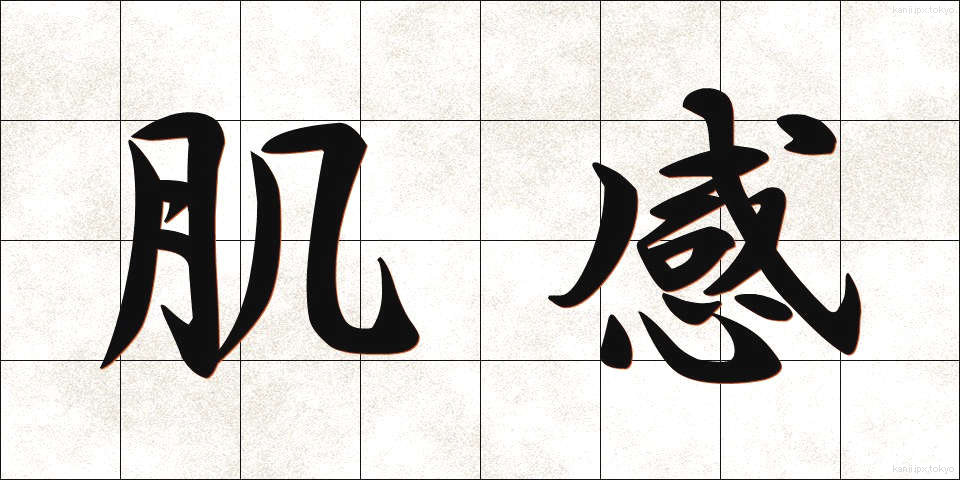 肌感 (はだかん)