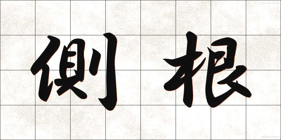 側根 (そっこん)