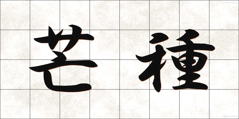 芒種 (ぼうしゅ)