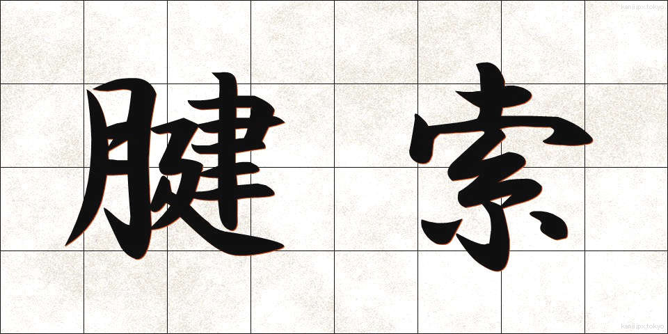 腱索 (けんさく)