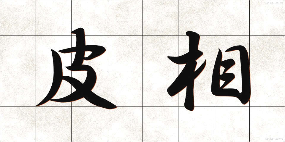 皮相 (ひそう)