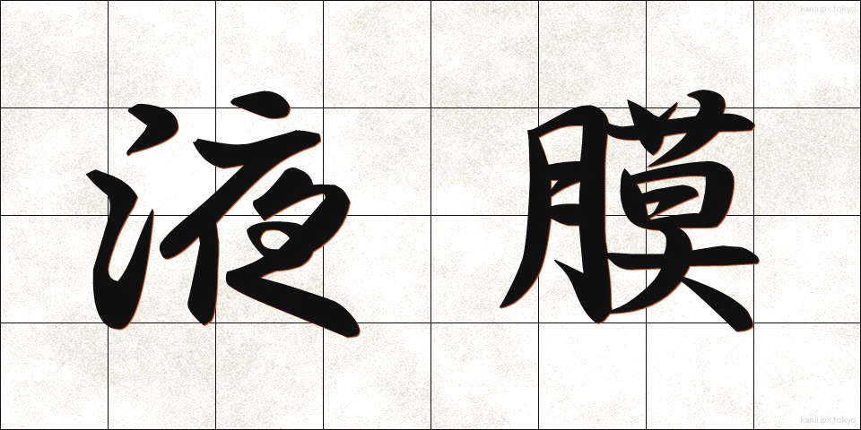 液膜 (えきまく)