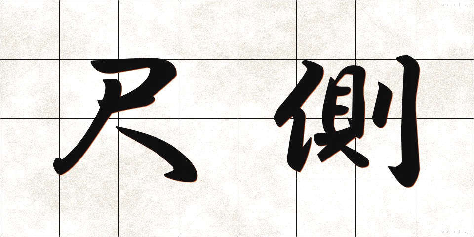 尺側 (しゃくそく)