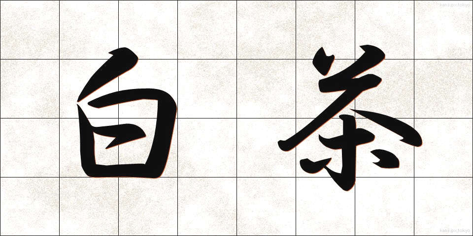 白茶 (しらちゃ)
