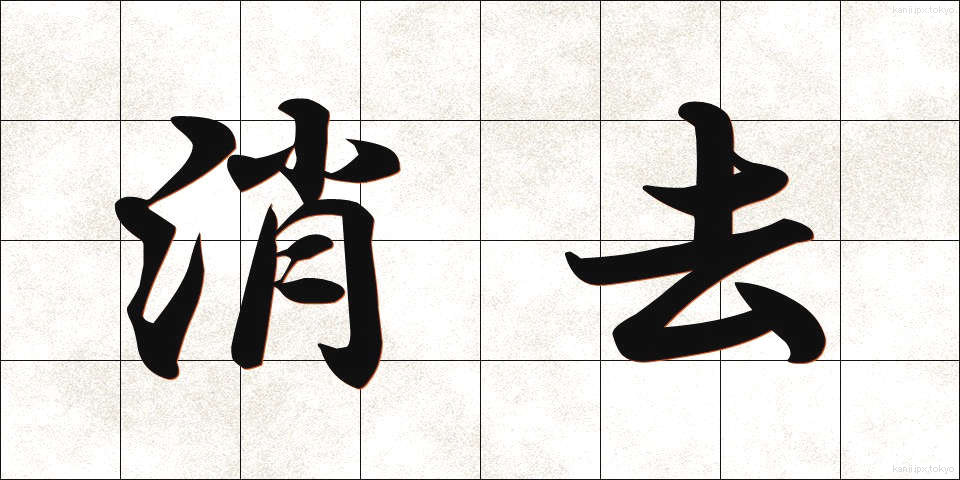 消去 (しょうきょ)