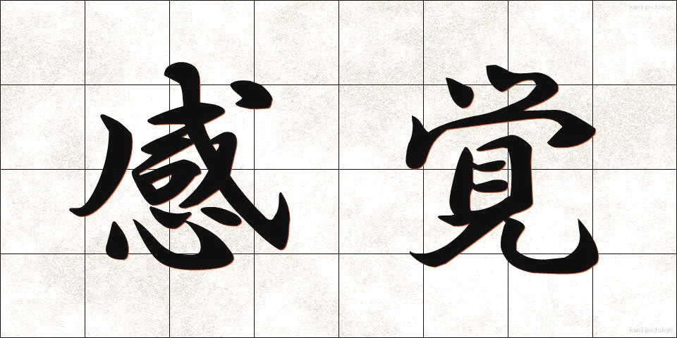 感覚 (かんかく)