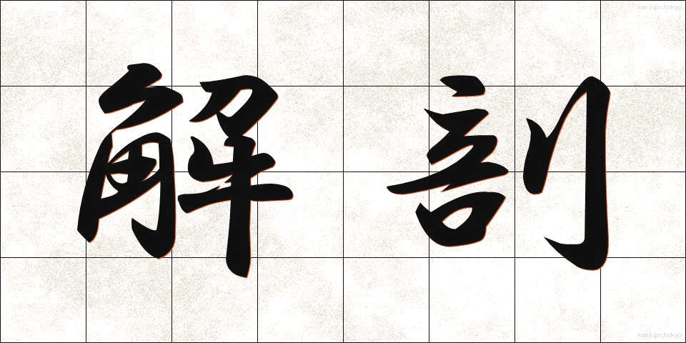 解剖 (かいぼう)