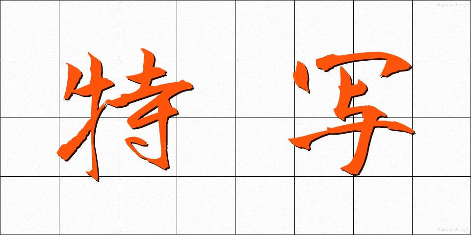 特写 (とくしゃ)