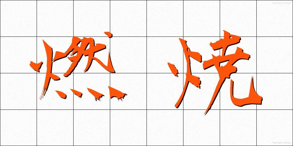 燃焼 (ねんしょう)