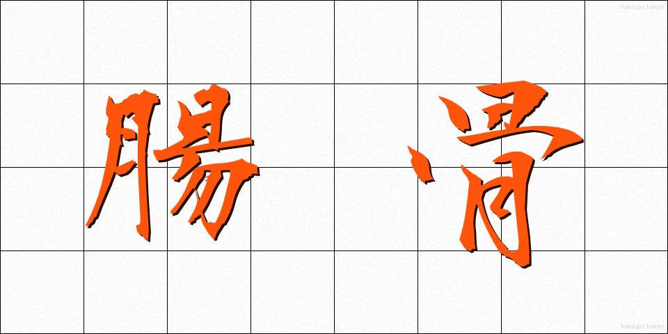 腸骨 (ちょうこつ)