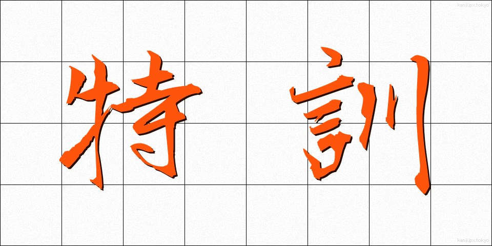 特訓 (とっくん)