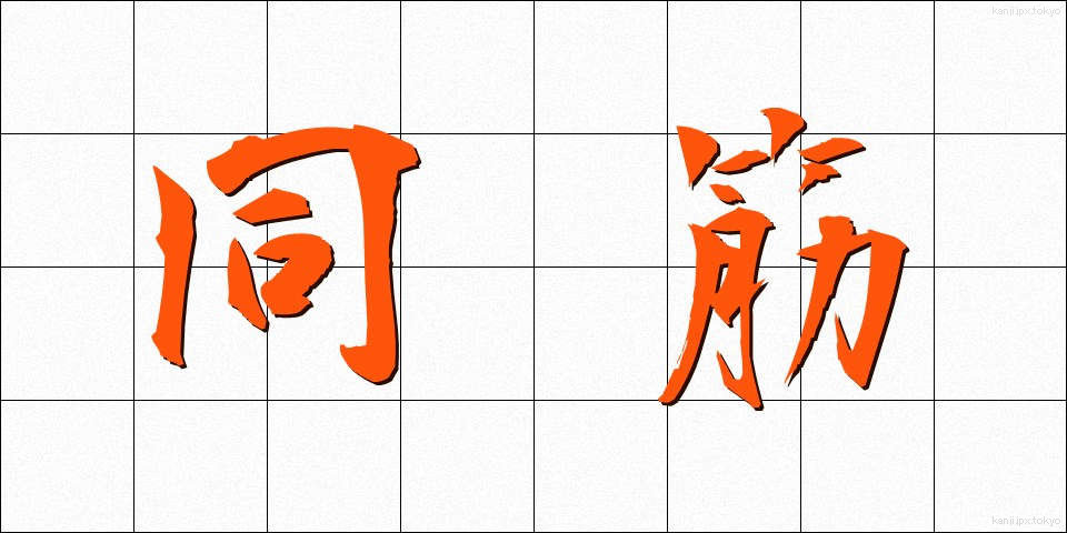 同筋 (どうすじ)
