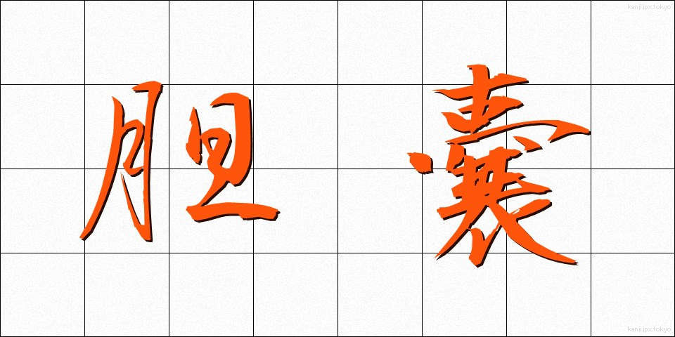 胆嚢 (たんのう)