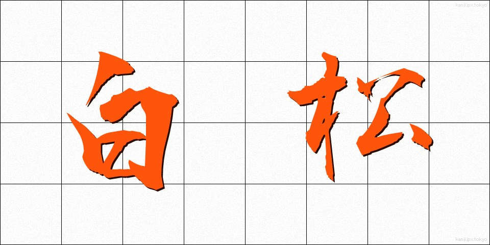 白松 (しらまつ)