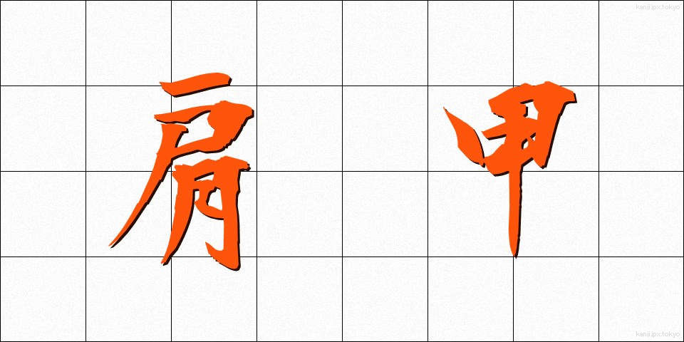 肩甲 (けんこう)