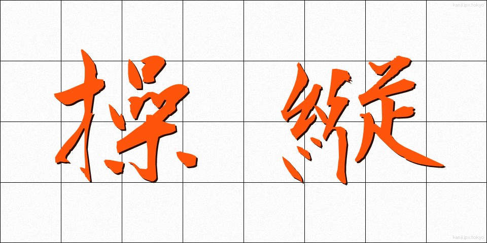 操縦 (そうじゅう)