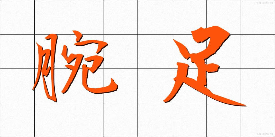 腕足 (うであし)