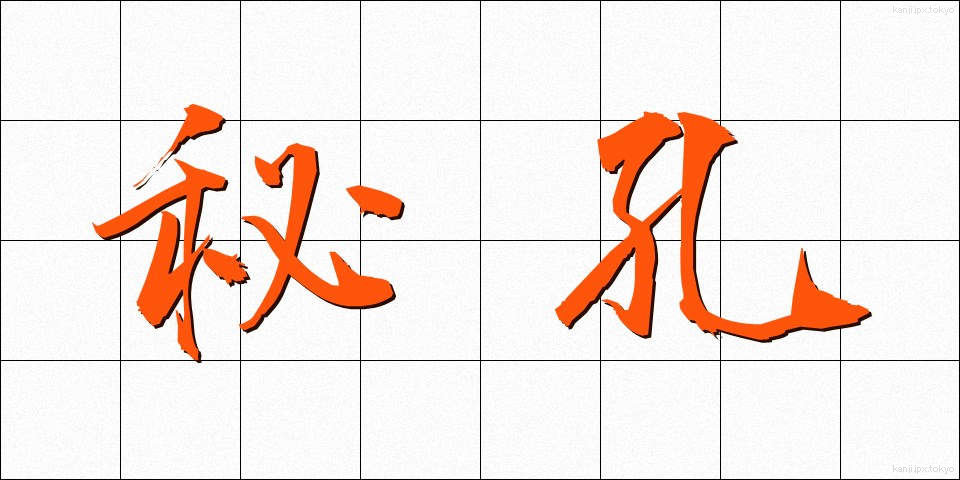 秘孔 (ひこう)