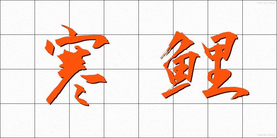 寒鯉 (かんごい)