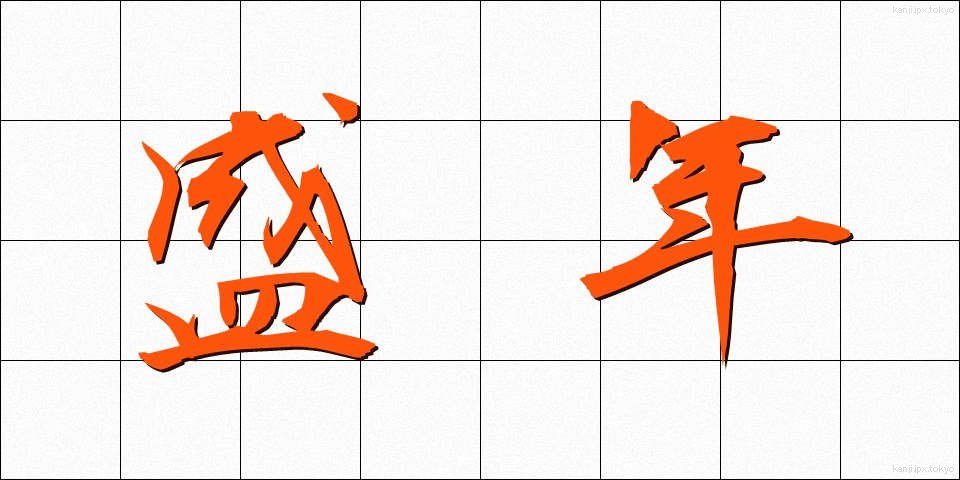盛年 (せいねん)