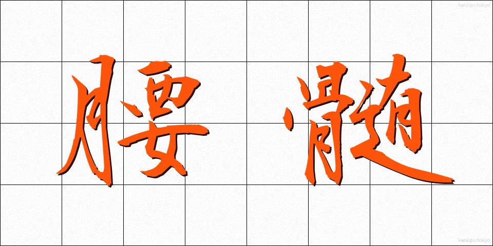 腰髄 (ようずい)