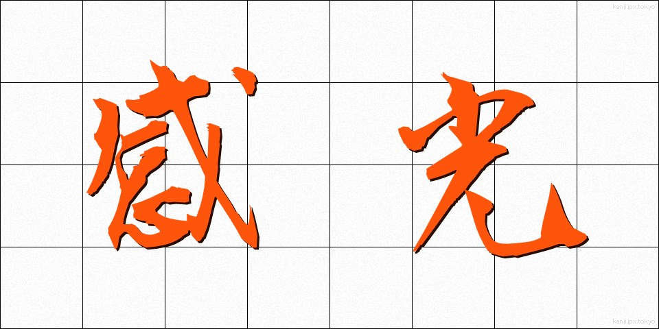 感光 (かんこう)