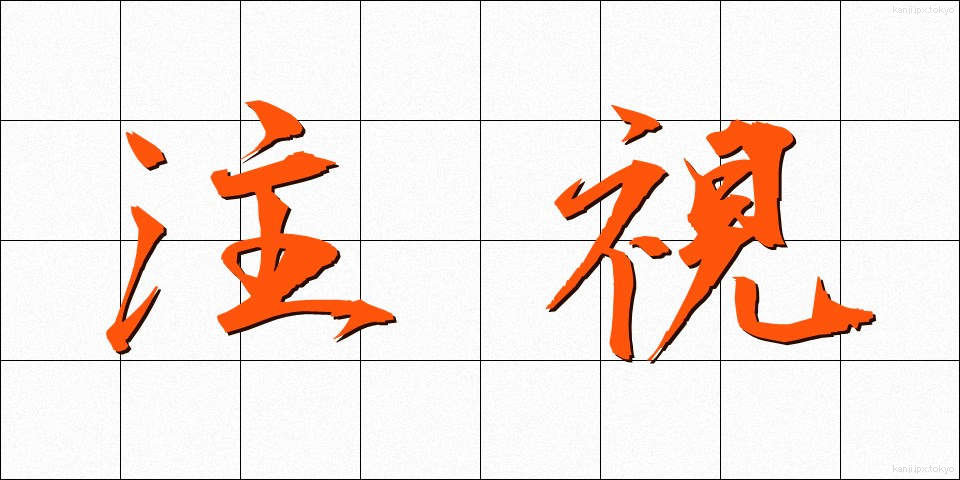 注視 (ちゅうし)